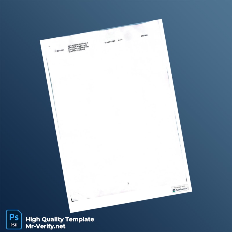 Senegal Bank Statement Template in Word and PDF formats page 2 Senegal Bank Statement Template in Word and PDF formats page 2