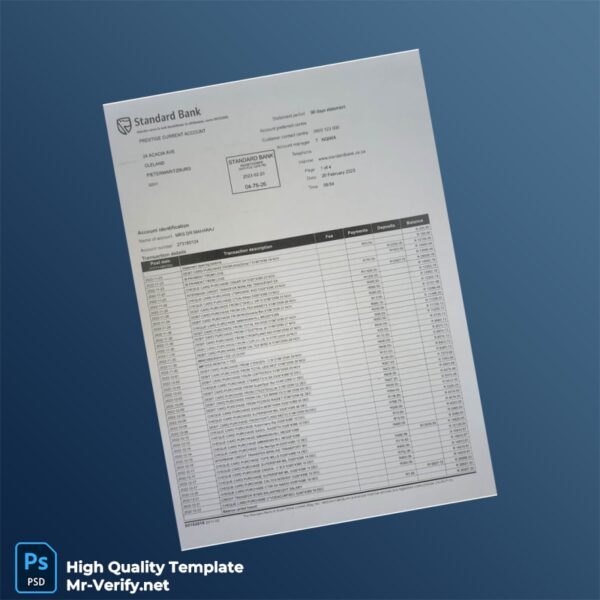 South Africa Standard Bank Bank Statement Template in Word and PDF formats