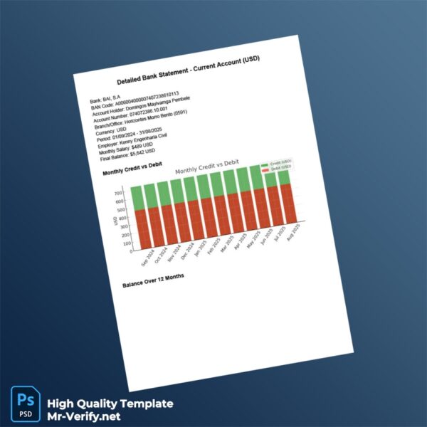 USA BAI S A Bank Statement Template in Word and PDF formats