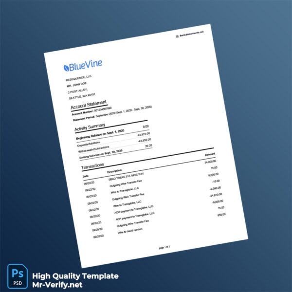 USA Bluevine Bank Statement Template in Word and PDF formats
