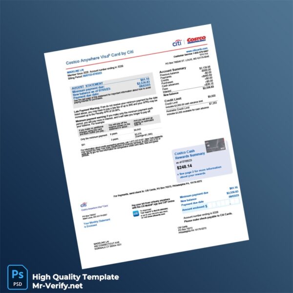 USA Citi Bank Statement Template in Word and PDF formats