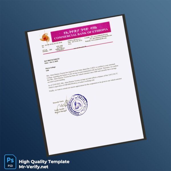 USA Combank Bank Statement Template in Word and PDF formats