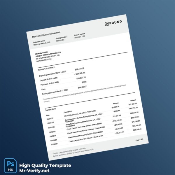 USA Found Bank Statement Template in Word and PDF formats