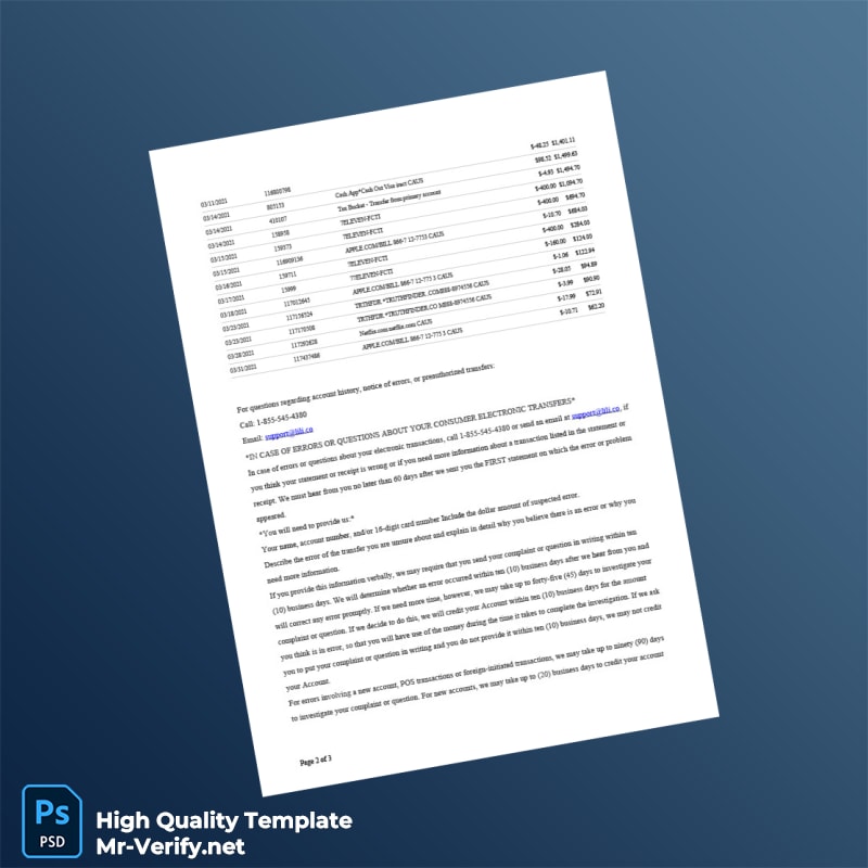 USA Lili Bank Account Statement Template in Word and PDF formats page 2 USA Lili Bank Account Statement Template in Word and PDF formats page 2