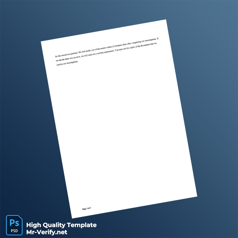 USA Lili Bank Account Statement Template in Word and PDF formats page 3 USA Lili Bank Account Statement Template in Word and PDF formats page 3