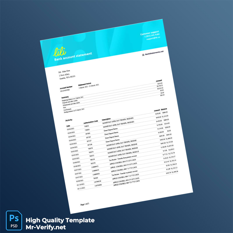 USA Lili Bank Account Statement Template in Word and PDF formats USA Lili Bank Account Statement Template in Word and PDF formats