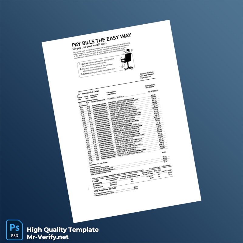 USA Omaha Bank Statement Template in Word and PDF formats page 2 USA Omaha Bank Statement Template in Word and PDF formats page 2