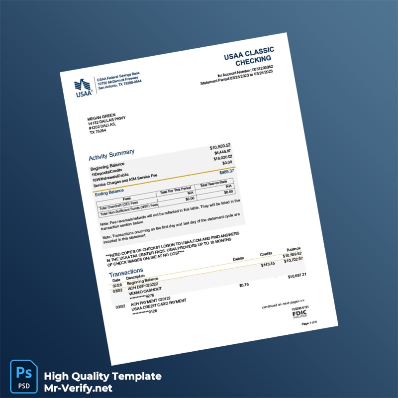 USA USAA Federal Savings Bank Bank Statement Template in Word and PDF formats USA USAA Federal Savings Bank Bank Statement Template in Word and PDF formats