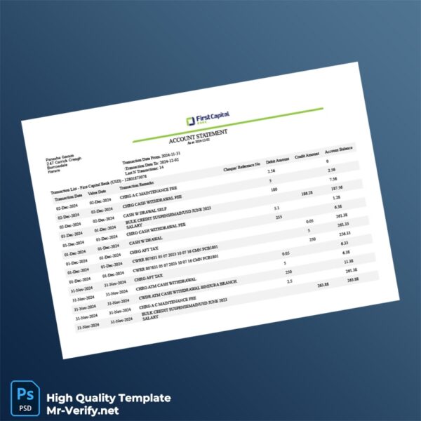 Zimbabwe Credit Bank Statement Template in Word and PDF formats
